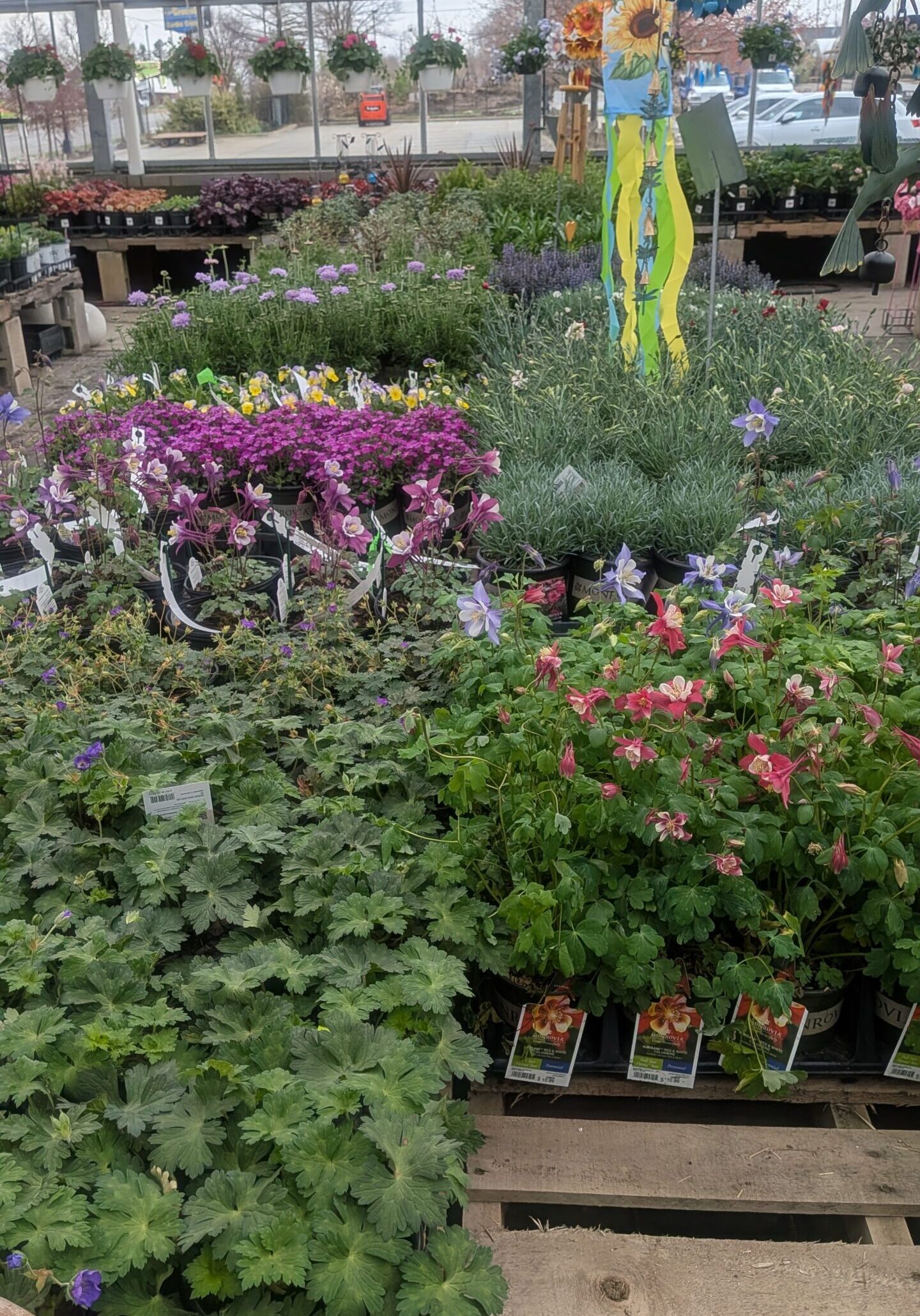 Perennials 2